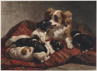 CC 027
<br/>
Moederhond met zes puppies (de wasbeurt)
<br/>
<em>Ronner-Knip, Henriëtte (1821-1909)</em>